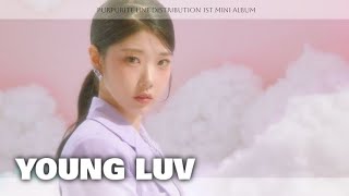 PURPURITE자반석  YOUNG LUV Line Distribution [upl. by Sylirama]