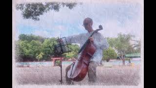 Londonderry Air Cello [upl. by Forta]