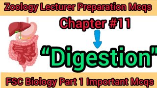 Mcqs of chapter 11 DigestionFederal Bio class 11fpsc spscppsc [upl. by Senior]