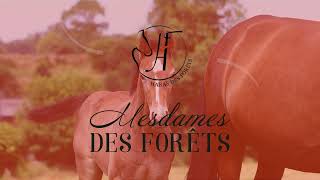 20 LAVANDE DES FORETS [upl. by Carli]