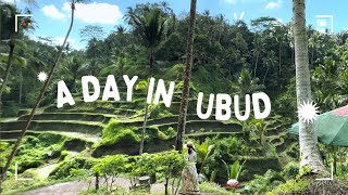 UBUD BALI Ceking Rice Terrace  BALI [upl. by Eelak]