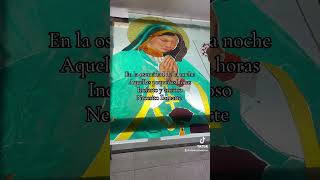 vitrales catolico virgenmaria virgenmaría virgen vitralescasarojas viralshorts viral [upl. by Ilajna]