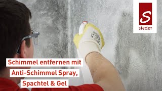 Antischimmelspray  Schimmel entfernen  mit AntiSchimmel Spray Spachtel Gel  SYCOFIX Tutorial [upl. by Bridwell]