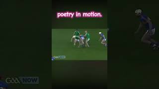 poetry in motion [upl. by Gati]