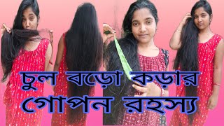 চুল বড়ো এবং চুলের গোড়া মজবুত করার গোপন রহস্যchul baro ebong chuler gora mojbhut ki vabe korben [upl. by Hammad267]