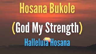 Hosana Bukole Lyrics with ENGLISH Translation [upl. by Eilsehc]