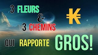 DOFUS  ASTUCE KAMAS  MÉTIER  ALCHIMISTE  TROIS CHEMINS QUI RAPPORTENT GROS [upl. by Lezlie266]