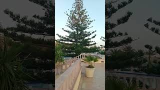 hotel hasdrubal hammamet نزل صدربعل حمامات [upl. by Maybelle]