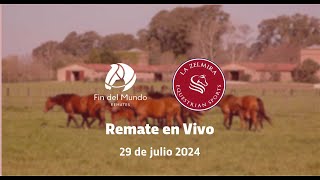 REMATE La Zelmira Equestrian Sports [upl. by Elwee]