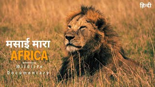 African wildlife documentary in Hindi  Predators । मसाई मारा जंगल अफ्रिका [upl. by Imogen819]