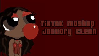 TIKTOK MASHUP JANUARY 2024 CLEAN [upl. by Adnical]