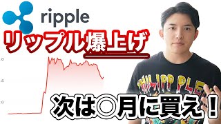 リップル（XRP）は○月に買えば爆益確定！リップルの可能性を資産18億投資家が解説！ [upl. by Eelessej575]