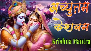 Achyutam Keshavam  अच्युतम केशवम Achyutam Keshavam Krishna Damodaram  Krishna Bhajan krishna [upl. by Ginelle]