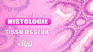 HISTOLOGIE 1ère année  TMC CAMP  TISSU OSSEUX  By Reem [upl. by Lorri750]