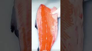 Salmon Fish Cutting Skill fishcutting fishcuttingskills fishcuttingskills salmonfish [upl. by Lemrahc]