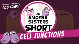 Cell Junctions  Amoeba Sisters Shorts [upl. by Gemmell]