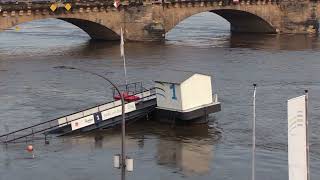 Hochwasser Dresden 19092024 [upl. by Coltun711]