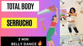 Latin Cardio  Belly Dance Workout  Serrucho [upl. by Yznyl649]