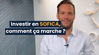 Investir en SOFICA comment ça marche [upl. by Nayra]