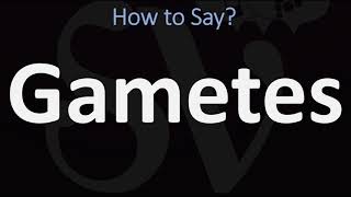 How to Pronounce Gametes CORRECTLY [upl. by Ahsier]