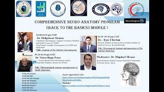 Anatomy of Orbit Microsurgical anatomy and approaches to anterior skull base Middle skull base [upl. by Ppik]