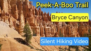 PeekABoo Hike Bryce Canyon National Park hiking hikingadventures nationpark [upl. by Laeno669]