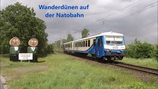 Wanderdünen auf der WeserAller Bahn [upl. by Enuahs]