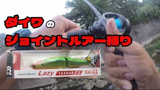 沖縄の淡水でもジョイントルアーは普通に通用する ダイワ レイジーファシャッドJ [upl. by Hanleigh]