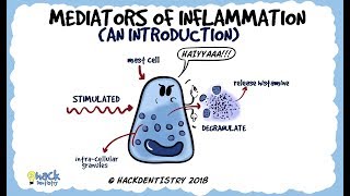 Mediators of Inflammation An Introduction [upl. by Adnohsal]