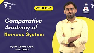 Comparative Anatomy of Nervous System  Zoology  S Chand Academy [upl. by Macur]