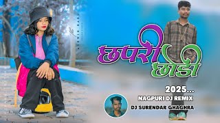 छापरी छोड़ी  Dj Nagpuri Song 2025  Dj Surendar Ghaghra  New Nagpuri Dj Remix Song 2025 [upl. by Eniamej426]