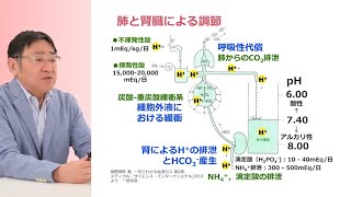 Dr 須藤のやり直し酸塩基平衡 第1回「基本的な生理学的知識」【期間限定配信】  臨床医学チャンネルCareNeTV [upl. by Hui2]