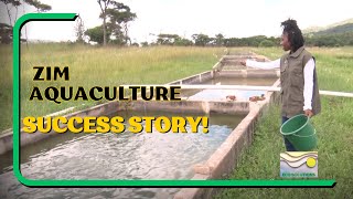 Sustainable Fish Farming in Zimbabwe Start Today 🌿 HowTo Guide [upl. by Aelber]