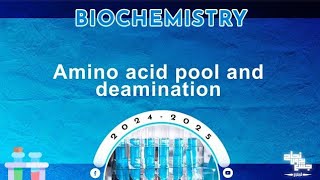 Rev of L27 Protein metabolism amino acid pool Oxidative deamination of amino acids Biochemistry [upl. by Eiramrebma]