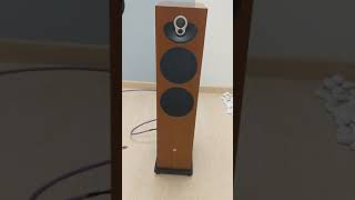 Linn Majik 140 Floorstanding Speakers [upl. by Ainitsirc]