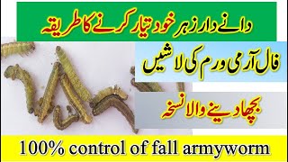 Prepare granular pesticide for Fall Armyworm at home Practical Control of FAW  Dr Jamil Shafi [upl. by Urana]