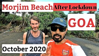 Morjim Beach Goa Aerial View  Goa Beach Current Situation Now  October 2020  Goa After Lockdown [upl. by Aland]