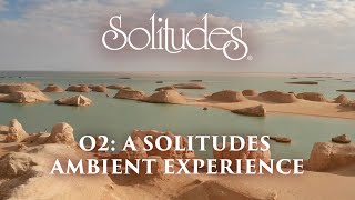 Dan Gibson’s Solitudes  Shaping the Sand  O2 A Solitudes Ambient Experience [upl. by Barty97]