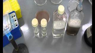 Quality Assurance Testing of Inoculants  Becker Underwood [upl. by Nestor737]