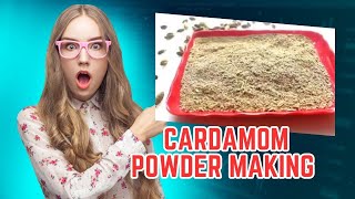 How To Make Cardamom Powder At Home  Cardamom Powder Making  Elaichi Powder Recipe [upl. by Ellinehc]