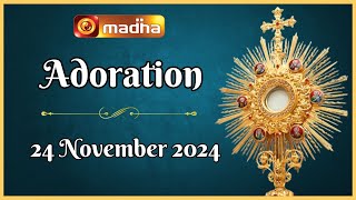 🔴 LIVE 24 November 2024 Adoration 1100 AM  Madha TV [upl. by Soracco138]