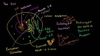 Parts of a cell [upl. by Katleen]