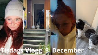 Tisdags Vlogg 3 December [upl. by Naesal]