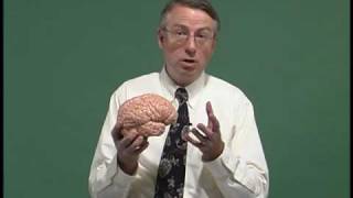 NeuroLogic Exam Videos  Introduction [upl. by Desiri545]