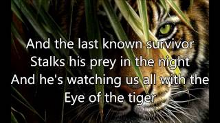 Survivor – Eye Of The Tiger lyrics [upl. by Eceinehs]