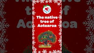 Whats the MOST FESTIVE Christmas Tree in New Zealand christmas christmassongs [upl. by Aleusnoc405]