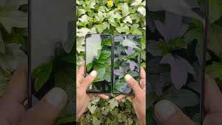 Motorola G45 5G VS Samsung galaxy M55S camera test camera comparison viralshorts2024 [upl. by Neirod]