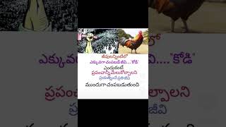 motivation quotes telugu inspirationalquotes youtubeshorts [upl. by Tatman515]