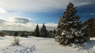 Ruta Quercus  Pyrenaica Montañas de Prades Ruta btt Prades [upl. by Notgnimer]