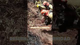 Incendio Forestal bomberosecuador bomberosforestal shorts motivational [upl. by Ettenrahc]